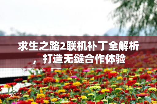 求生之路2联机补丁全解析图片