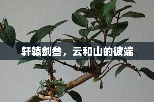 云和山的彼端图片