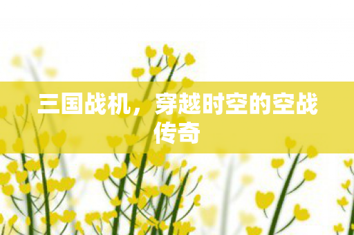 穿越时空的空战传奇图片