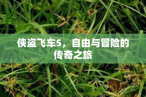 自由与冒险的传奇之旅图片