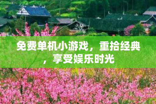 免费单机小游戏图片