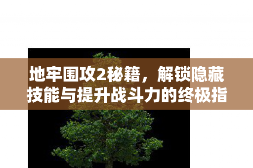解锁隐藏技能与提升战斗力的终极指南图片