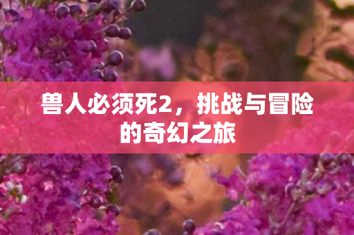 兽人必须死2，挑战与冒险的奇幻之旅