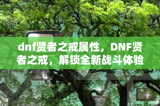 dnf贤者之戒属性,DNF贤者之戒,解锁全新战斗体验 dnf贤者之戒属性,DNF贤者之戒,解锁全新战斗体验