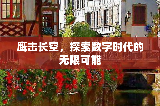 鹰击长空，探索数字时代的无限可能