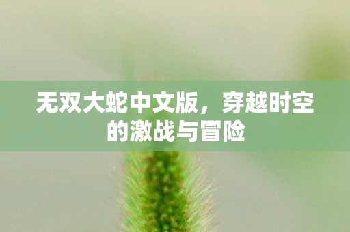 无双大蛇中文版，穿越时空的激战与冒险