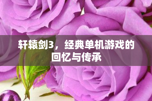 轩辕剑3，经典单机游戏的回忆与传承