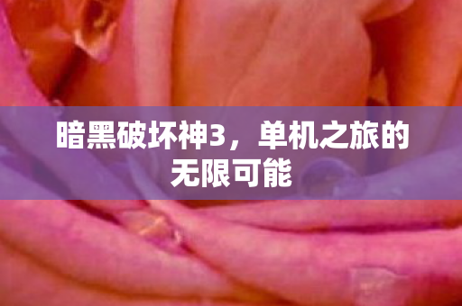 单机之旅的无限可能图片