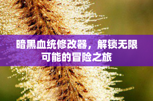 暗黑血统修改器，解锁无限可能的冒险之旅