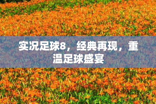 重温足球盛宴图片