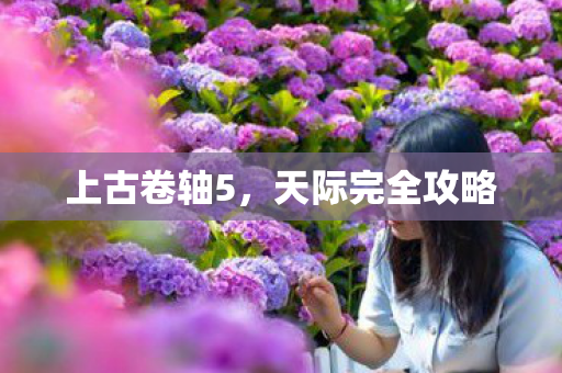 天际完全攻略图片