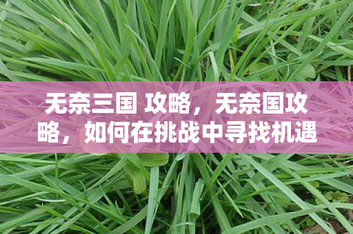 无奈三国 攻略,无奈国攻略,如何在挑战中寻找机遇 无奈三国 攻略,无奈国攻略,如何在挑战中寻找机遇