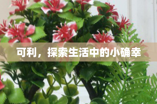 探索生活中的小确幸图片