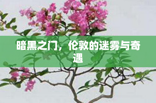 伦敦的迷雾与奇遇图片