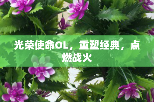 光荣使命OL图片