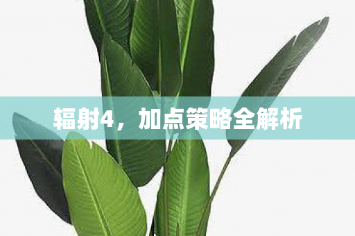 加点策略全解析图片