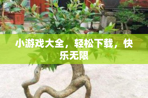 小游戏大全图片
