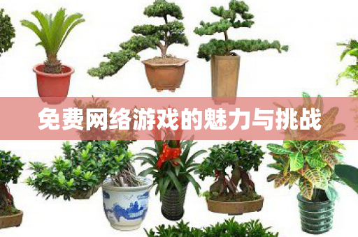 免费网络游戏的魅力与挑战图片