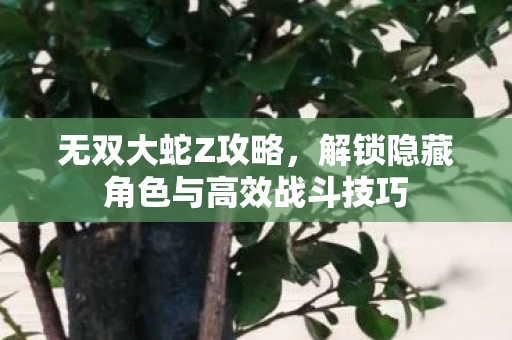 解锁隐藏角色与高效战斗技巧图片