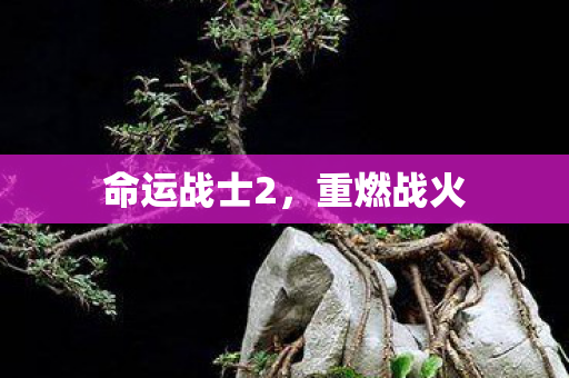 命运战士2图片