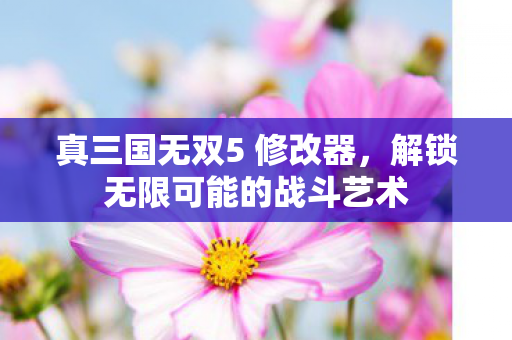 解锁无限可能的战斗艺术图片