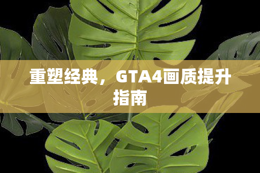 GTA4画质提升指南图片