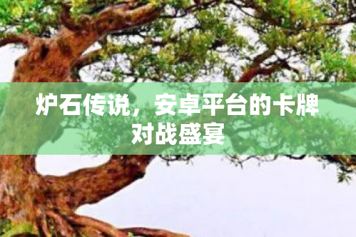 安卓平台的卡牌对战盛宴图片