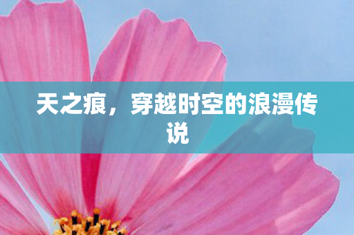 穿越时空的浪漫传说图片