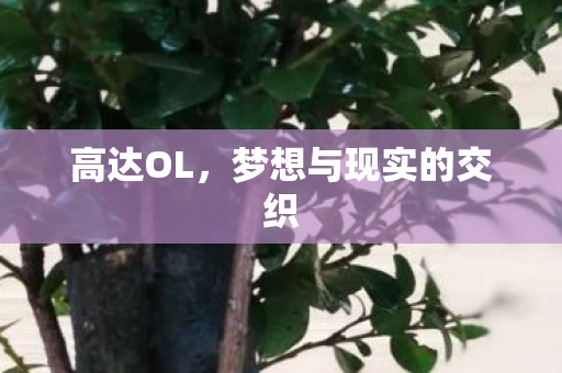 高达OL，梦想与现实的交织