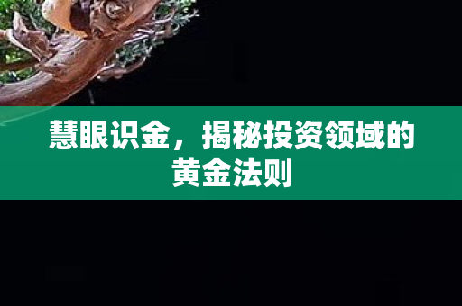 慧眼识金，揭秘投资领域的黄金法则