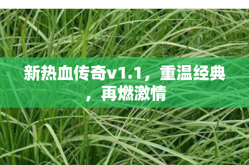 新热血传奇v1.1，重温经典，再燃激情