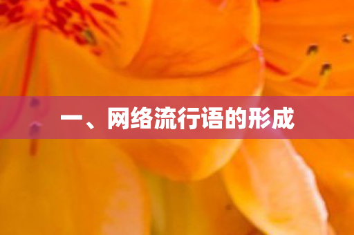 网络流行语的形成图片