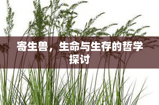 生命与生存的哲学探讨图片