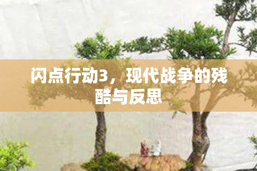 现代战争的残酷与反思图片