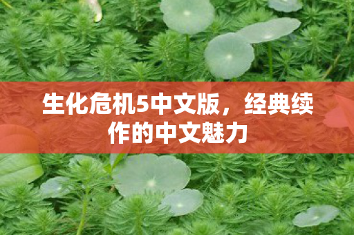经典续作的中文魅力图片