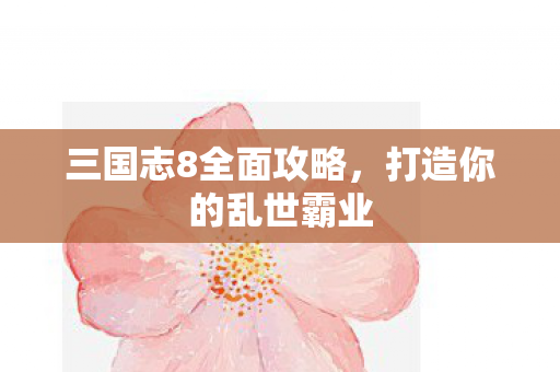 三国志8全面攻略图片