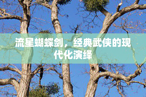 流星蝴蝶剑，经典武侠的现代化演绎