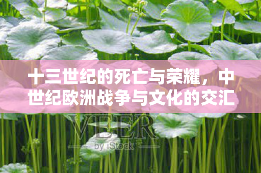 十三世纪的死亡与荣耀，中世纪欧洲战争与文化的交汇