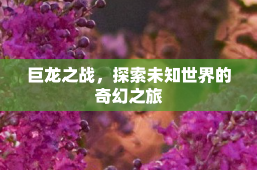 巨龙之战，探索未知世界的奇幻之旅