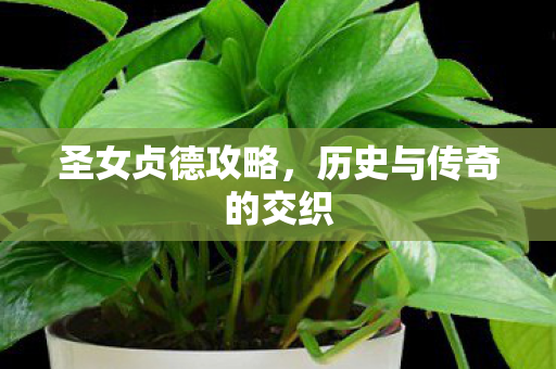 圣女贞德攻略，历史与传奇的交织