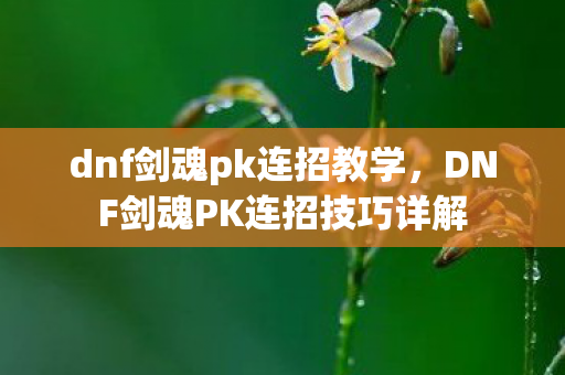 dnf剑魂pk连招教学,DNF剑魂PK连招技巧详解 dnf剑魂pk连招教学,DNF剑魂PK连招技巧详解