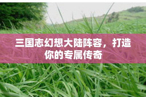 三国志幻想大陆阵容，打造你的专属传奇