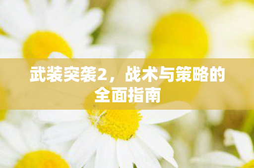 武装突袭2，战术与策略的全面指南