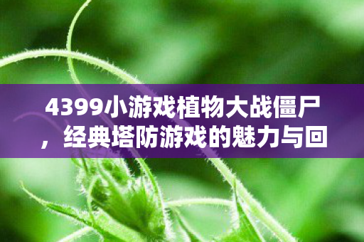 4399小游戏植物大战僵尸,经典塔防游戏的魅力与回忆 4399小游戏植物大战僵尸,经典塔防游戏的魅力与回忆