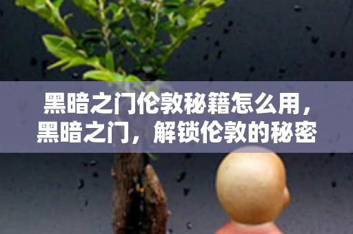 黑暗之门伦敦秘籍怎么用，黑暗之门，解锁伦敦的秘密