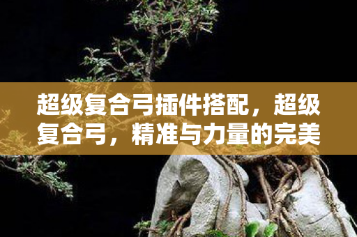 超级复合弓插件搭配，超级复合弓，精准与力量的完美结合