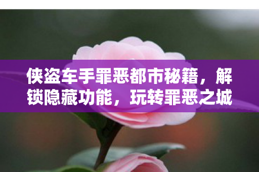 侠盗车手罪恶都市秘籍，解锁隐藏功能，玩转罪恶之城