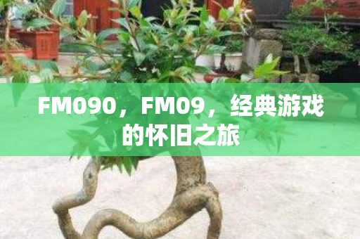 FM090，FM09，经典游戏的怀旧之旅
