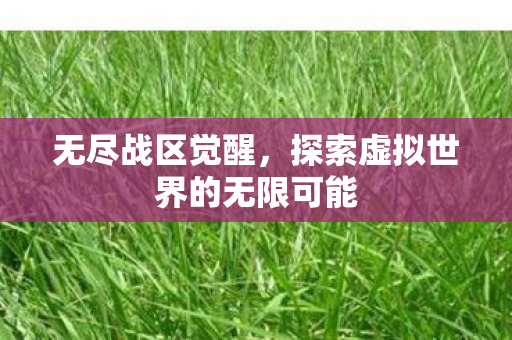 无尽战区觉醒，探索虚拟世界的无限可能