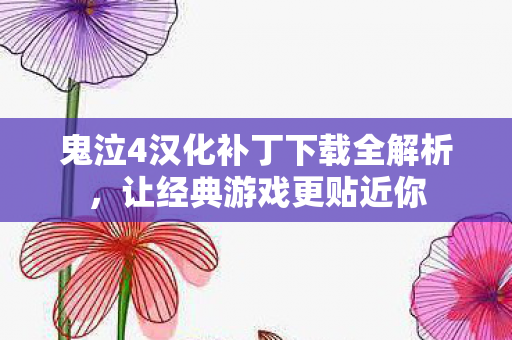 鬼泣4汉化补丁下载全解析，让经典游戏更贴近你